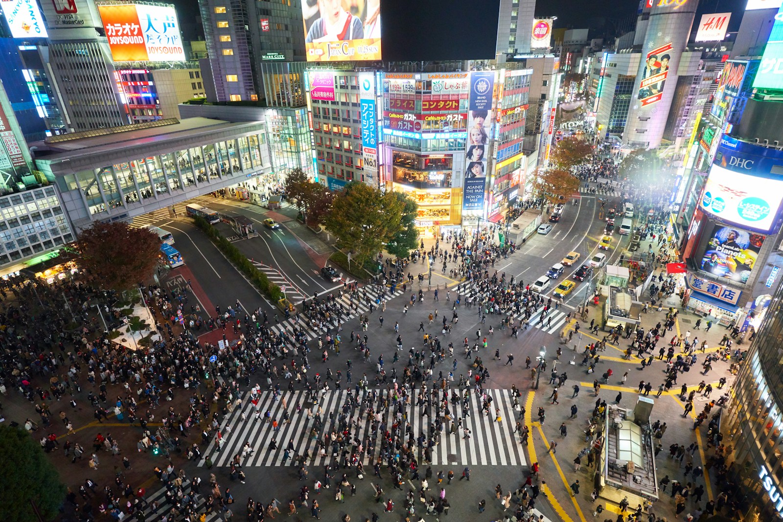 Shibuya crossing Tokyo at night — Japan travel tips 2026