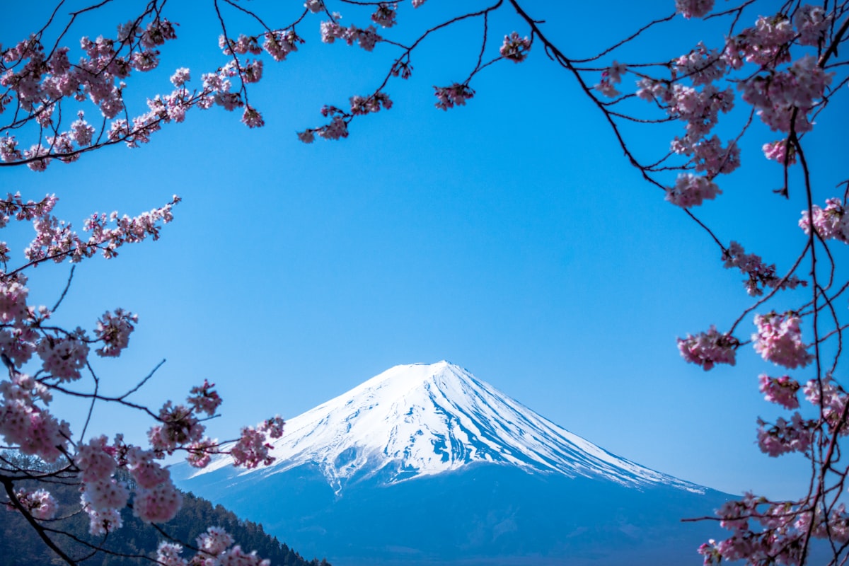Mount Fuji with cherry blossoms in spring Japan